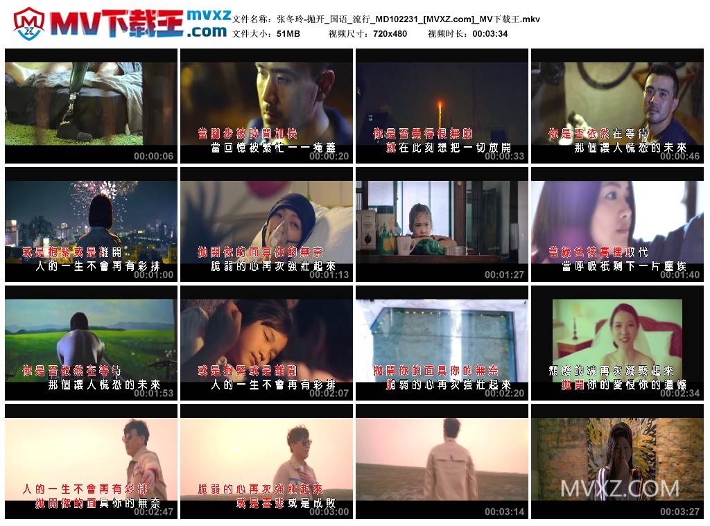 张冬玲-抛开_国语_流行_MD102231